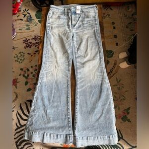 Blue Flare Wide Leg Jeans with Frayed Hem